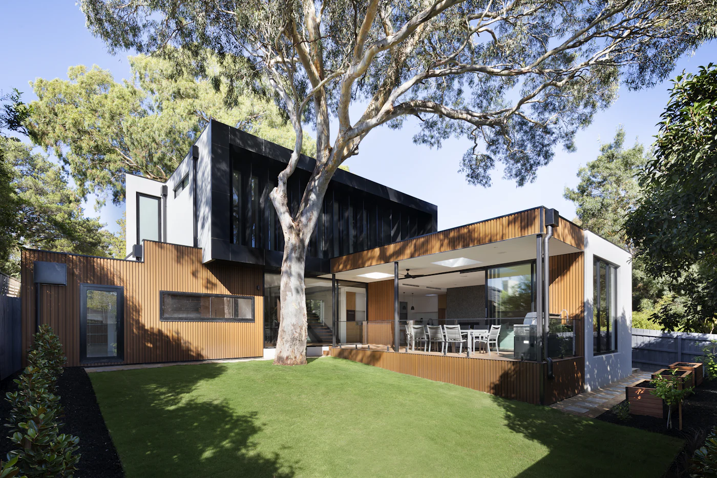 Seven Elms: timber-clad house among trees